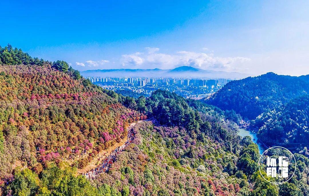 星空体育-“湘超”14市州队服、队徽曝光,你pick谁?